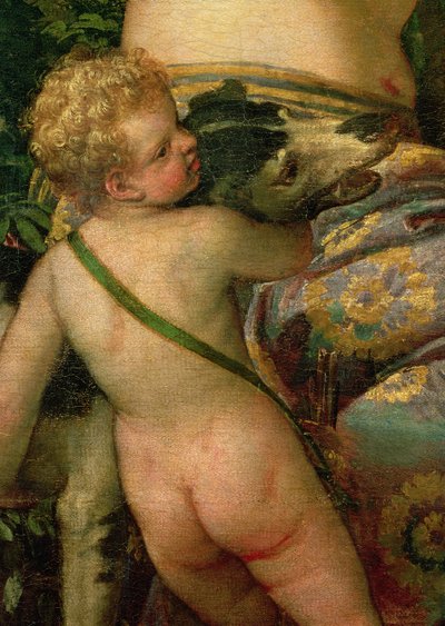 Cupido (detalle) de Paolo Veronese